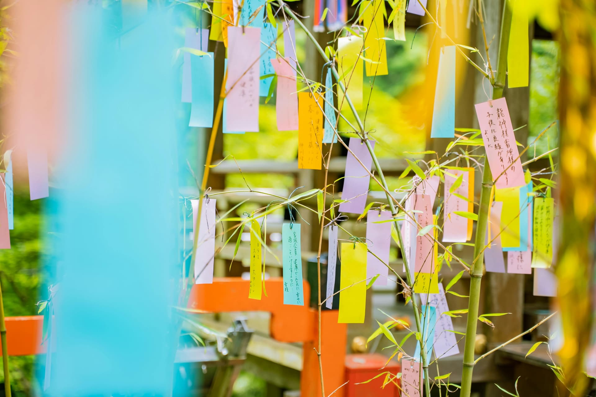 七夕の短冊──願いを言葉にする